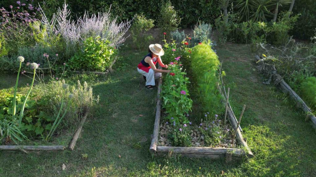 Life, Love & Recipes from My Tuscan Kitchen | June 2025 🇮🇹