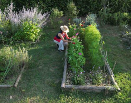 Life, Love & Recipes from My Tuscan Kitchen | June 2025 🇮🇹