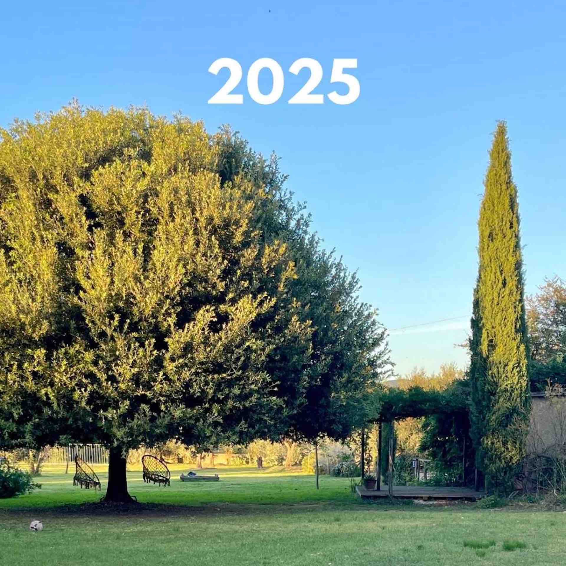 Oak trees at Tuscan farmhouse garden transformed from rocky land into a lush landscape in Italy