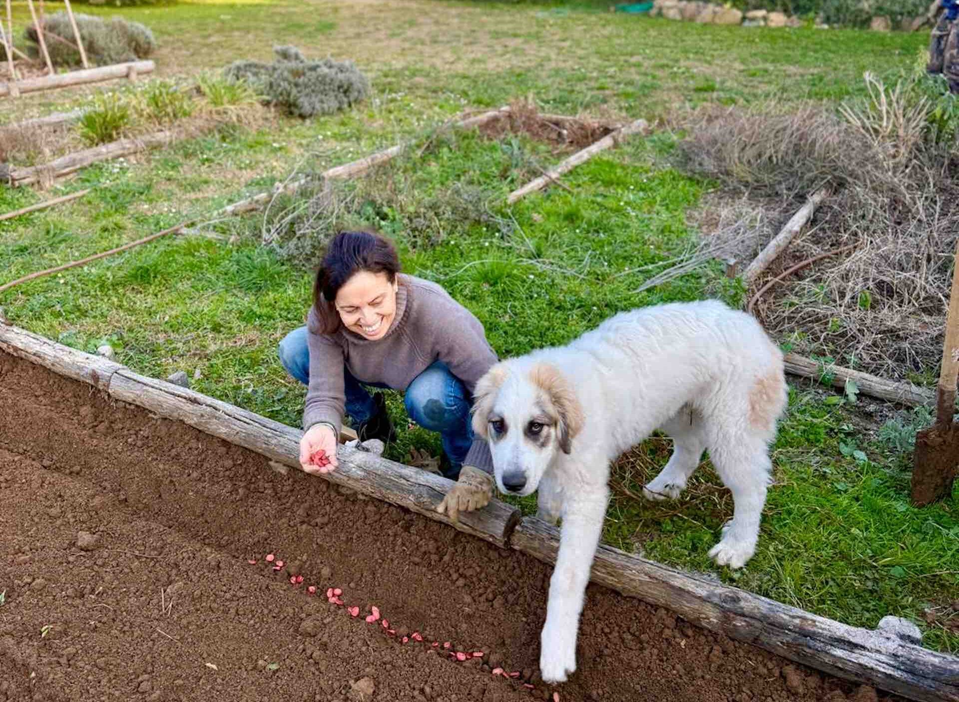 Chicca at Winter garden harvest in Tuscany with fresh herbs and greens