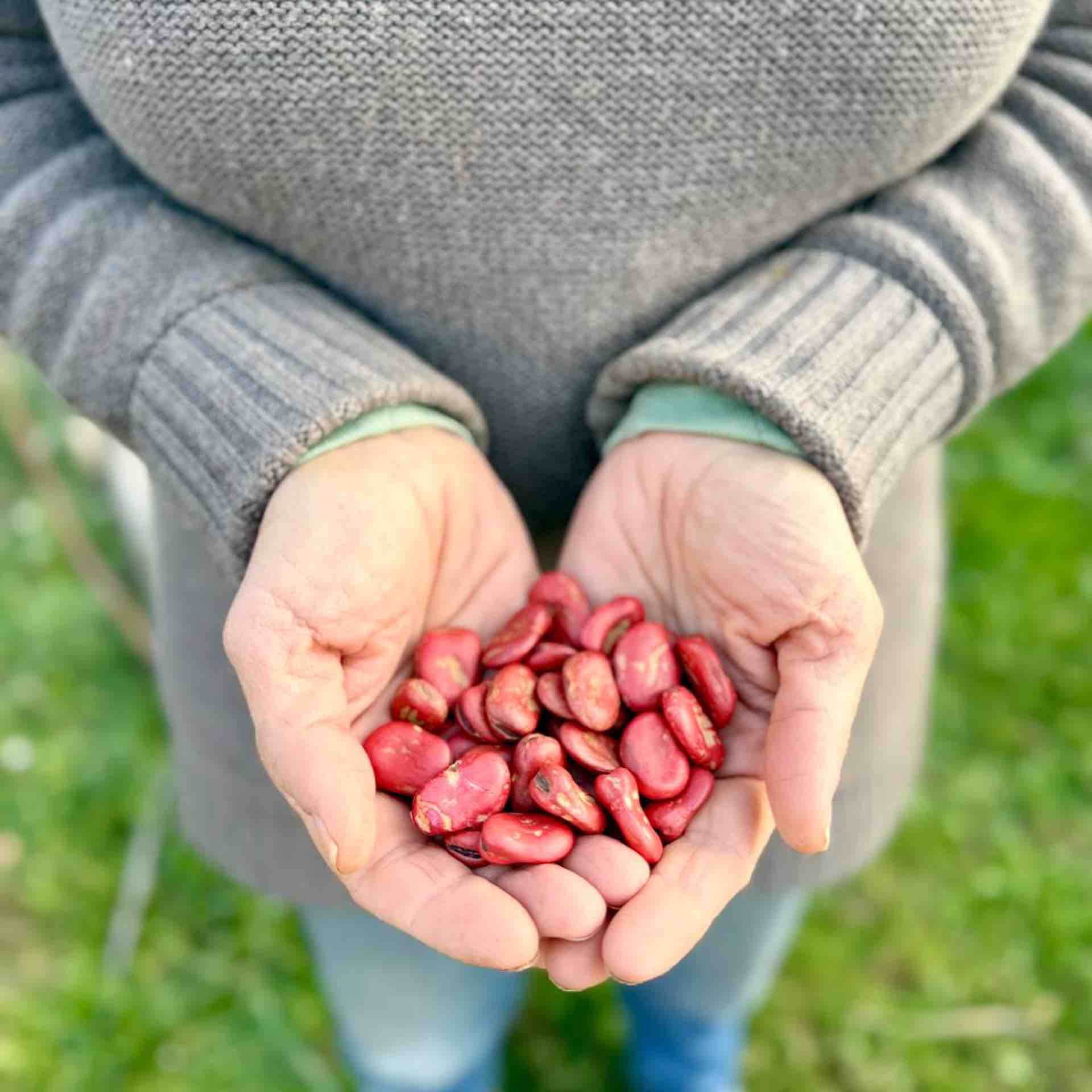 Chicca at Winter garden harvest in Tuscany with fresh herbs and greens