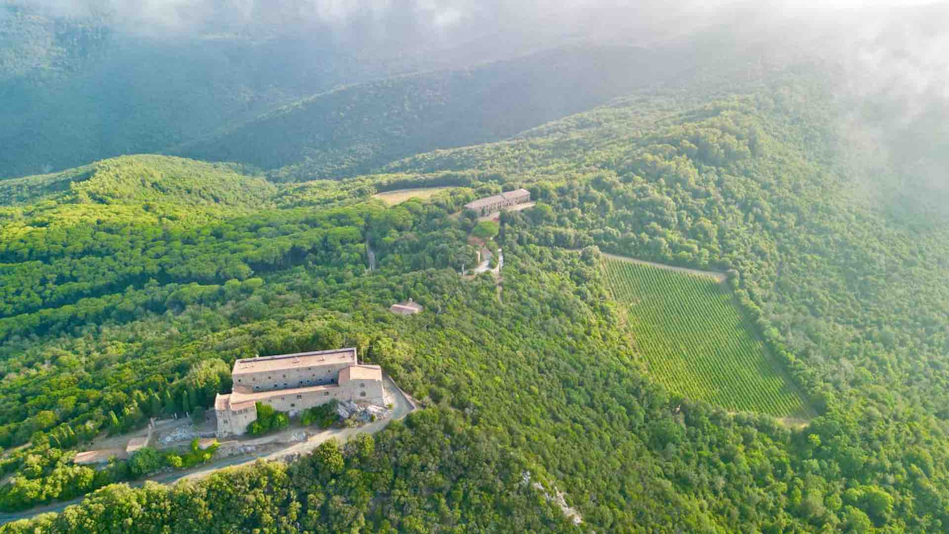 Drone view of a hilltop castle surrounded by forest and the historic vineyard where Sassicaia wine began