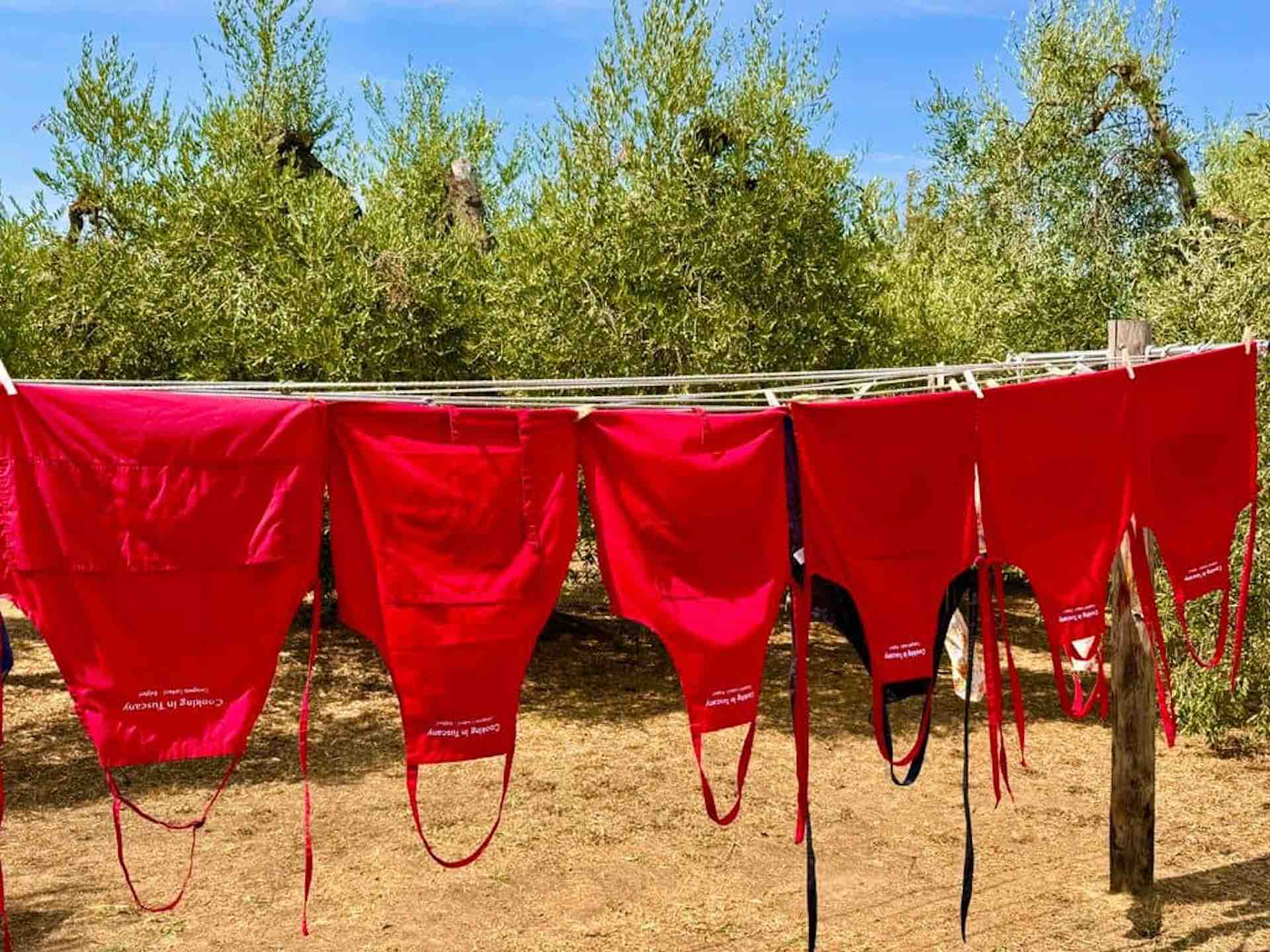 Row of red cooking aprons hanging on a clothesline in an olive grove under a blue sky in Tuscany